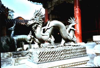 drache
